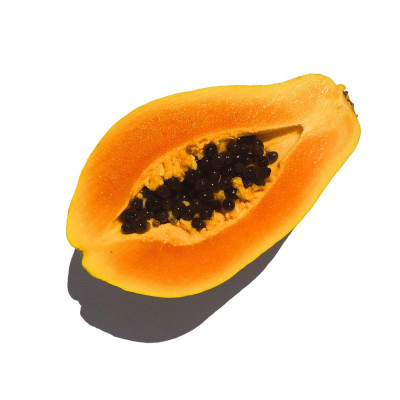 Papaya | El Huerto Deitana ®