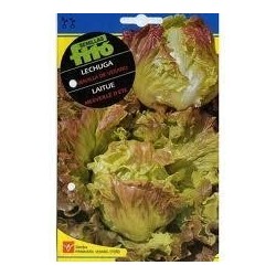 Lechuga Maravilla (Semillas) | El Huerto Deitana ®