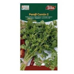 S-PARSLEY COMMON 2