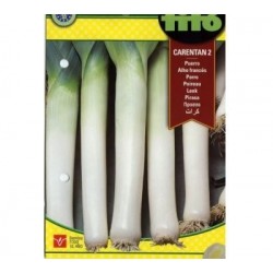SEEDS G-LEEKS LACK 2