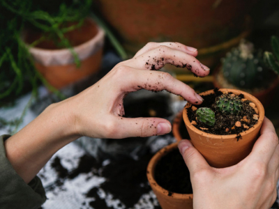 Que se siembra en septiembre