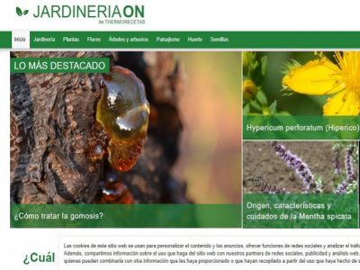 Jardinería On y sus mejores consejos en plantación y jardinería