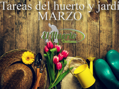 TAREAS DEL HUERTO Y JARDÍN EN EL MES DE MARZO