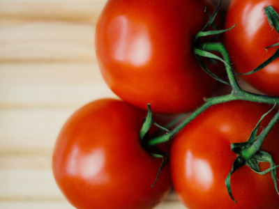 ¿Cuándo se plantan los tomates?