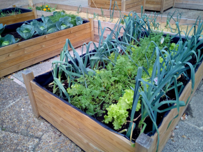 Planetahuerto.es  todo lo que necesitas saber para cultivar tu vida