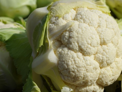 Hortalizas de invierno: Coliflor, col repollo, col lombarda, habas y guisantes