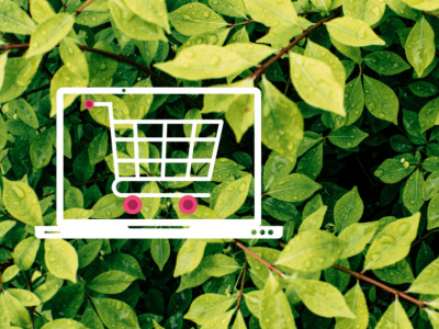 ¿Por qué debes comprar plantas online?