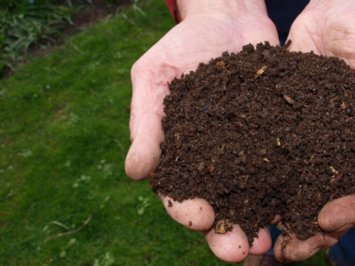 Ventajas abonos y fertilizantes ecológicos