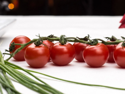 Tomates cherry en un huerto ecológico