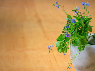 Plantas aromáticas para tu huerto
